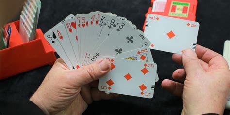 Learning Bridge: The Game of a Lifetime .